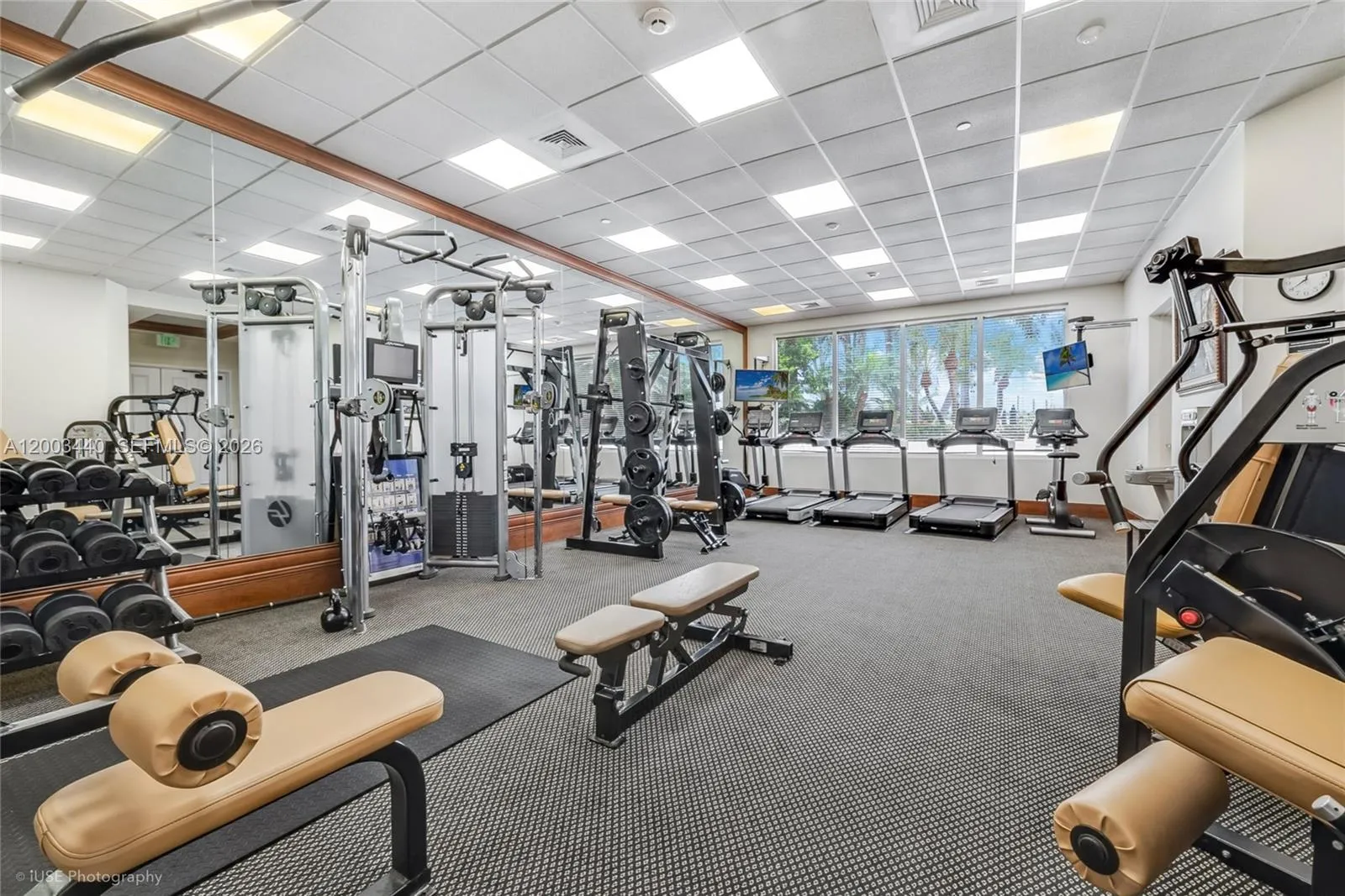 Milano Gym