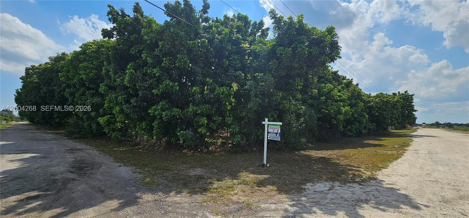 15300 Sw 193, Kendall, Florida 33187, Kendall, Florida 33187, ,Land,For Sale,15300 Sw 193, Kendall, Florida 33187,A12004268