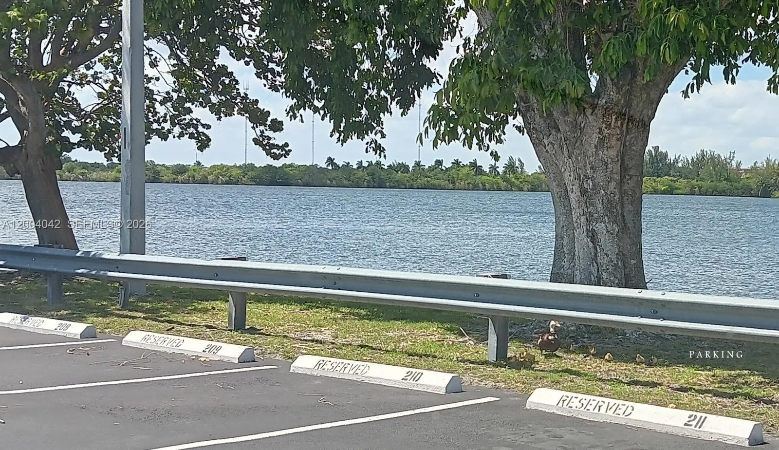 1075 Ne Miami Gardens Dr 306, Miami, Florida 33179, Miami, Florida 33179, 1 Bedroom Bedrooms, ,1 BathroomBathrooms,Residential,For Sale,1075 Ne Miami Gardens Dr 306, Miami, Florida 33179,A12004042