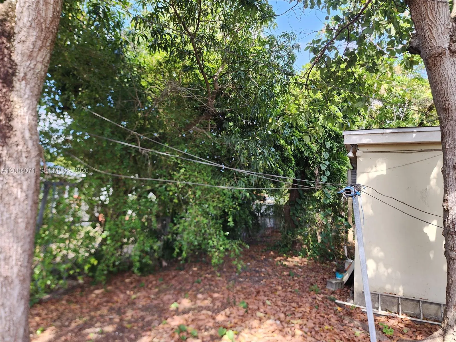 back yard\n