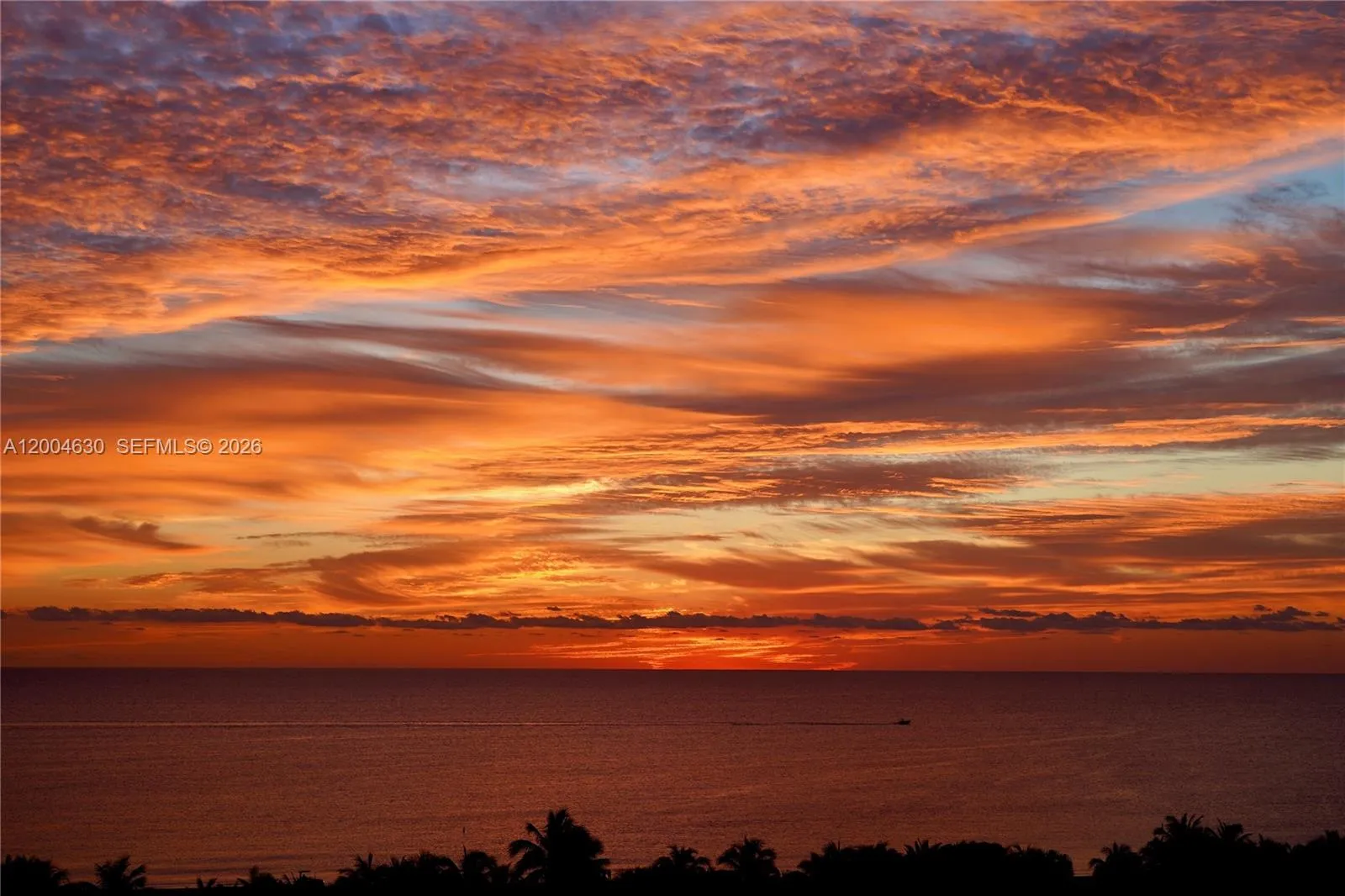 Sunrise View from The Unit