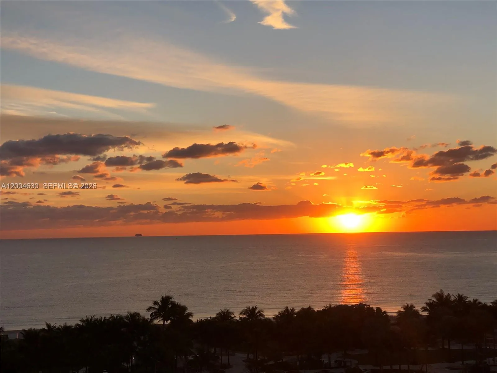 Sunrise View from The Unit