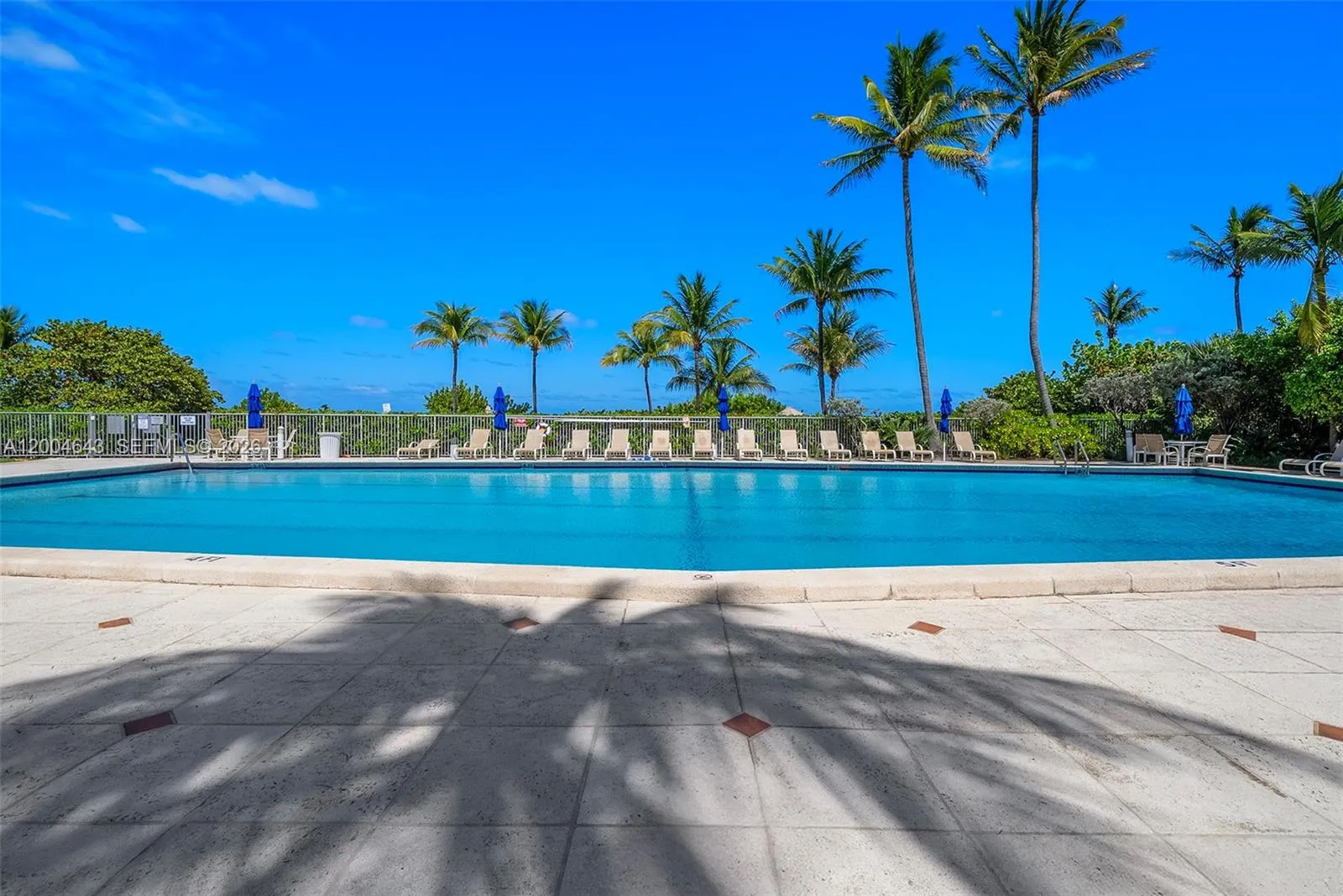 600 Grapetree Dr 3bs, Key Biscayne, Florida 33149, Key Biscayne, Florida 33149, 3 Bedrooms Bedrooms, ,3 BathroomsBathrooms,Residential Lease,For Rent,600 Grapetree Dr 3bs, Key Biscayne, Florida 33149,A12004643