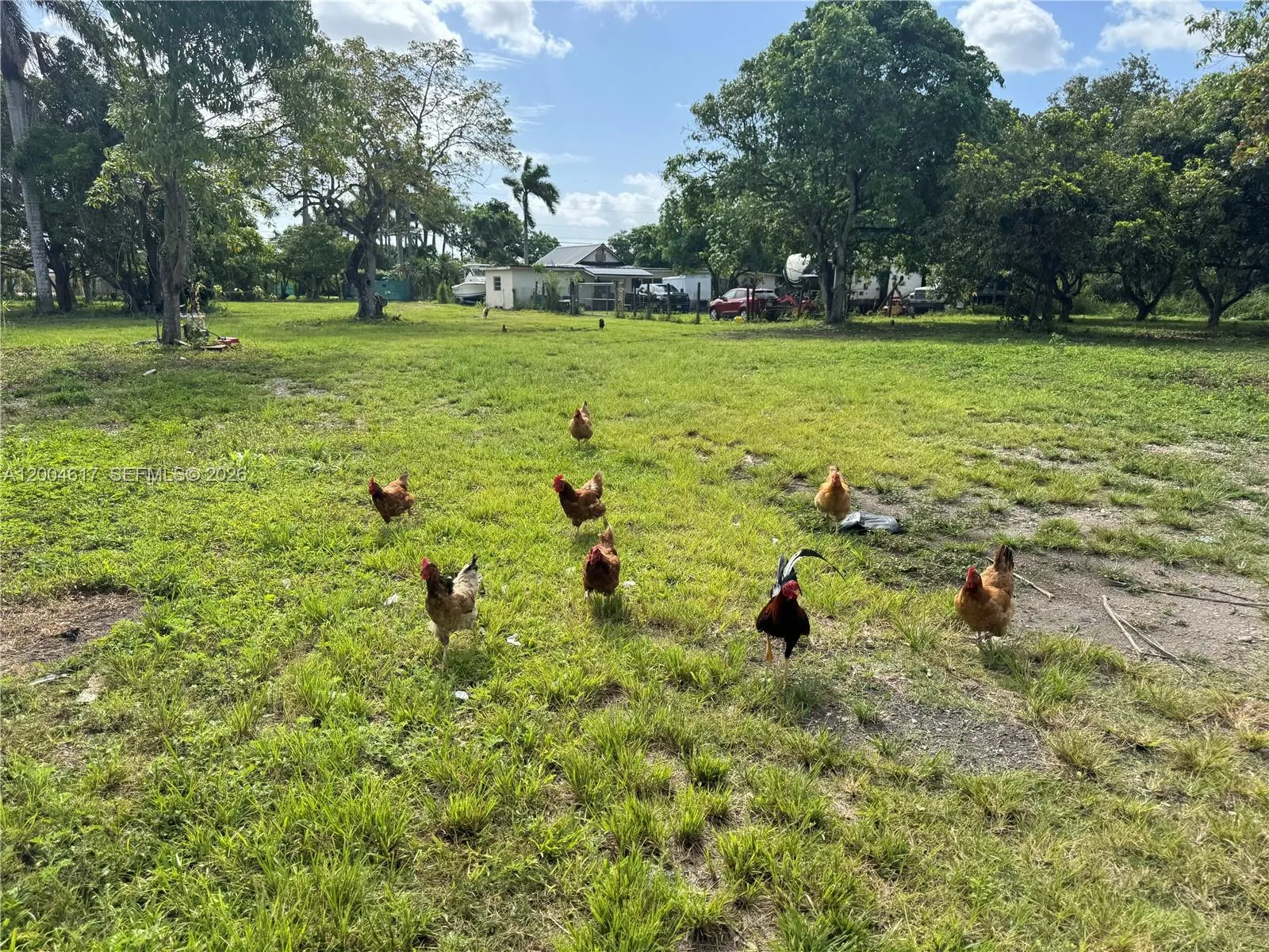 24000 Sw 167th Ave, Homestead, Florida 33031, Homestead, Florida 33031, 7 Bedrooms Bedrooms, ,4 BathroomsBathrooms,Residential,For Sale,24000 Sw 167th Ave, Homestead, Florida 33031,A12004617