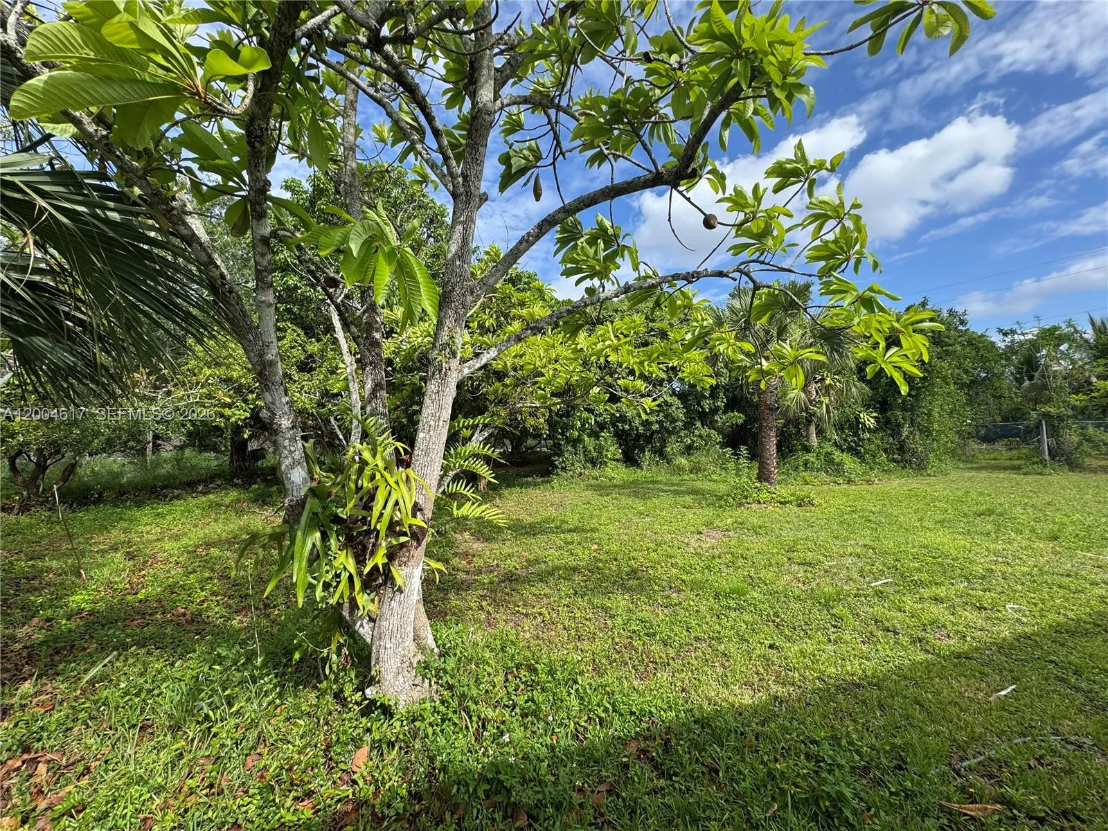 24000 Sw 167th Ave, Homestead, Florida 33031, Homestead, Florida 33031, 7 Bedrooms Bedrooms, ,4 BathroomsBathrooms,Residential,For Sale,24000 Sw 167th Ave, Homestead, Florida 33031,A12004617