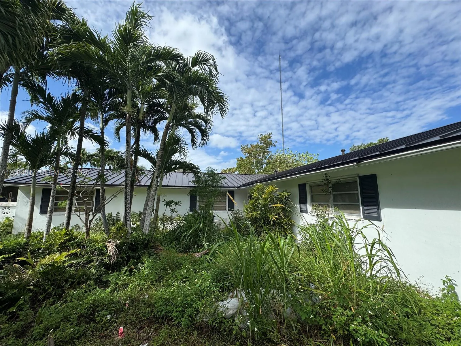 24000 Sw 167th Ave, Homestead, Florida 33031, Homestead, Florida 33031, 7 Bedrooms Bedrooms, ,4 BathroomsBathrooms,Residential,For Sale,24000 Sw 167th Ave, Homestead, Florida 33031,A12004617