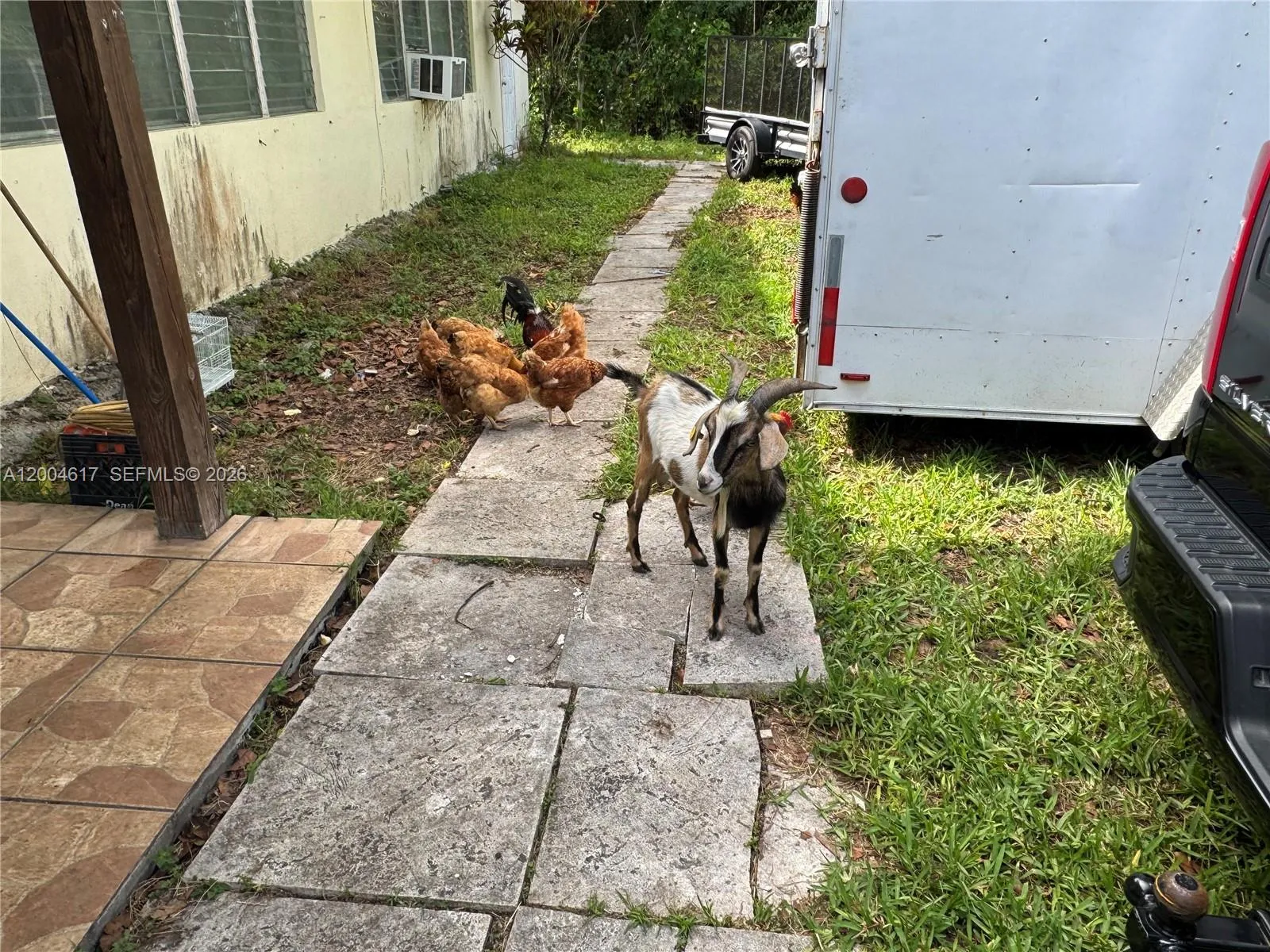 24000 Sw 167th Ave, Homestead, Florida 33031, Homestead, Florida 33031, 7 Bedrooms Bedrooms, ,4 BathroomsBathrooms,Residential,For Sale,24000 Sw 167th Ave, Homestead, Florida 33031,A12004617