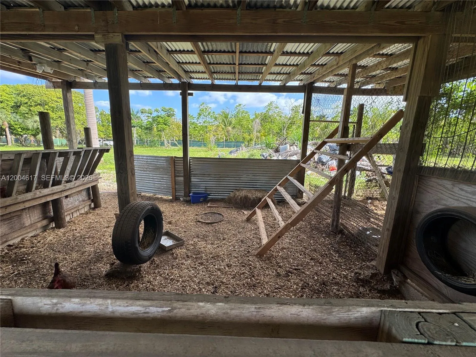 24000 Sw 167th Ave, Homestead, Florida 33031, Homestead, Florida 33031, 7 Bedrooms Bedrooms, ,4 BathroomsBathrooms,Residential,For Sale,24000 Sw 167th Ave, Homestead, Florida 33031,A12004617