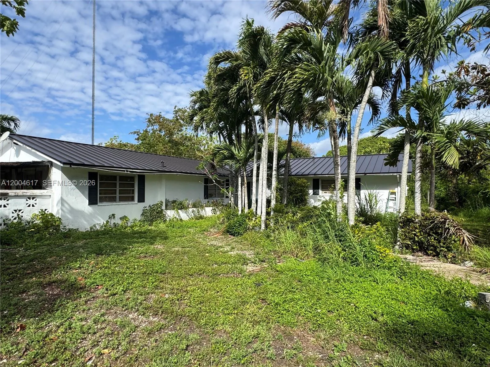 24000 Sw 167th Ave, Homestead, Florida 33031, Homestead, Florida 33031, 7 Bedrooms Bedrooms, ,4 BathroomsBathrooms,Residential,For Sale,24000 Sw 167th Ave, Homestead, Florida 33031,A12004617