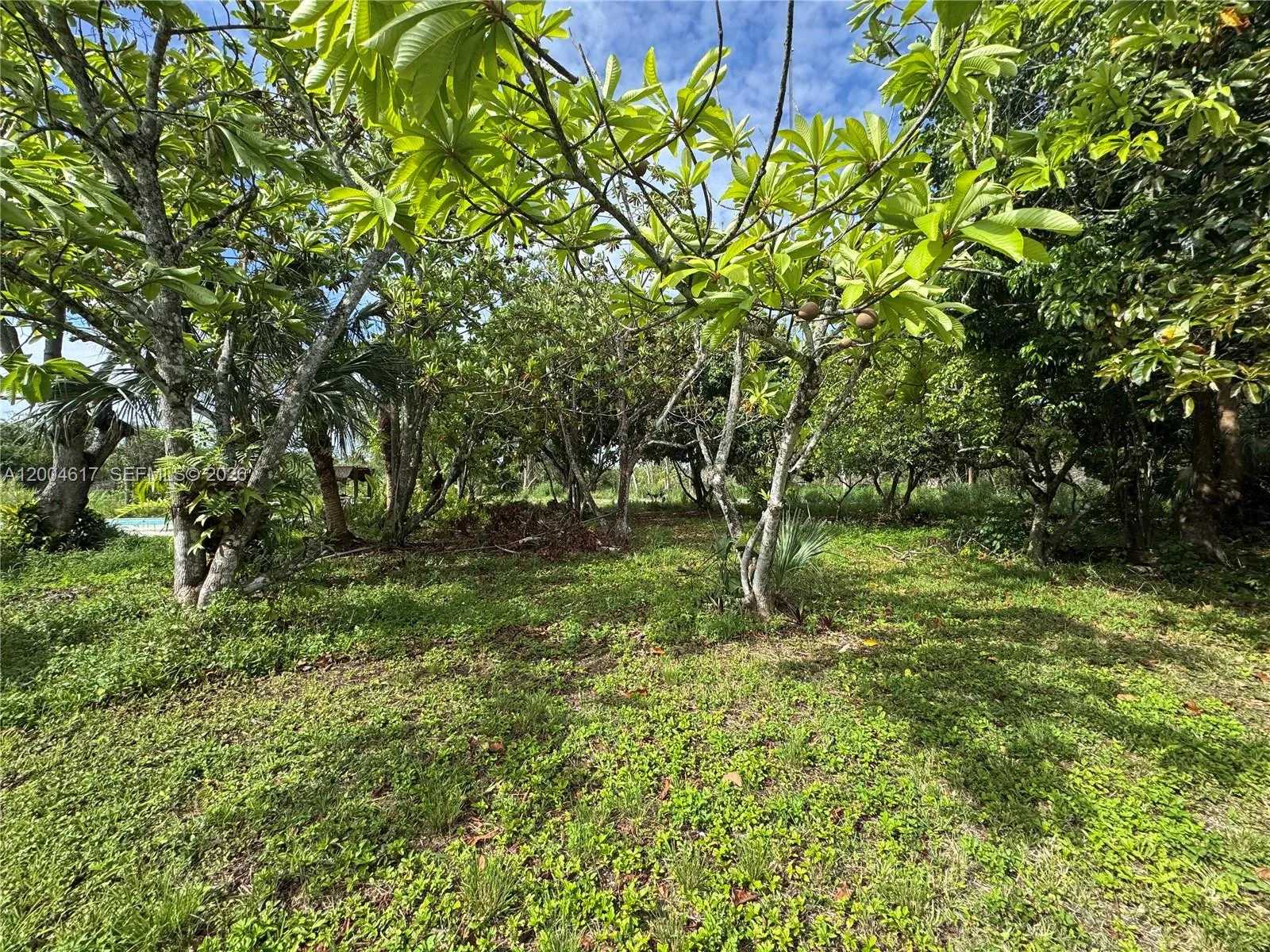 24000 Sw 167th Ave, Homestead, Florida 33031, Homestead, Florida 33031, 7 Bedrooms Bedrooms, ,4 BathroomsBathrooms,Residential,For Sale,24000 Sw 167th Ave, Homestead, Florida 33031,A12004617