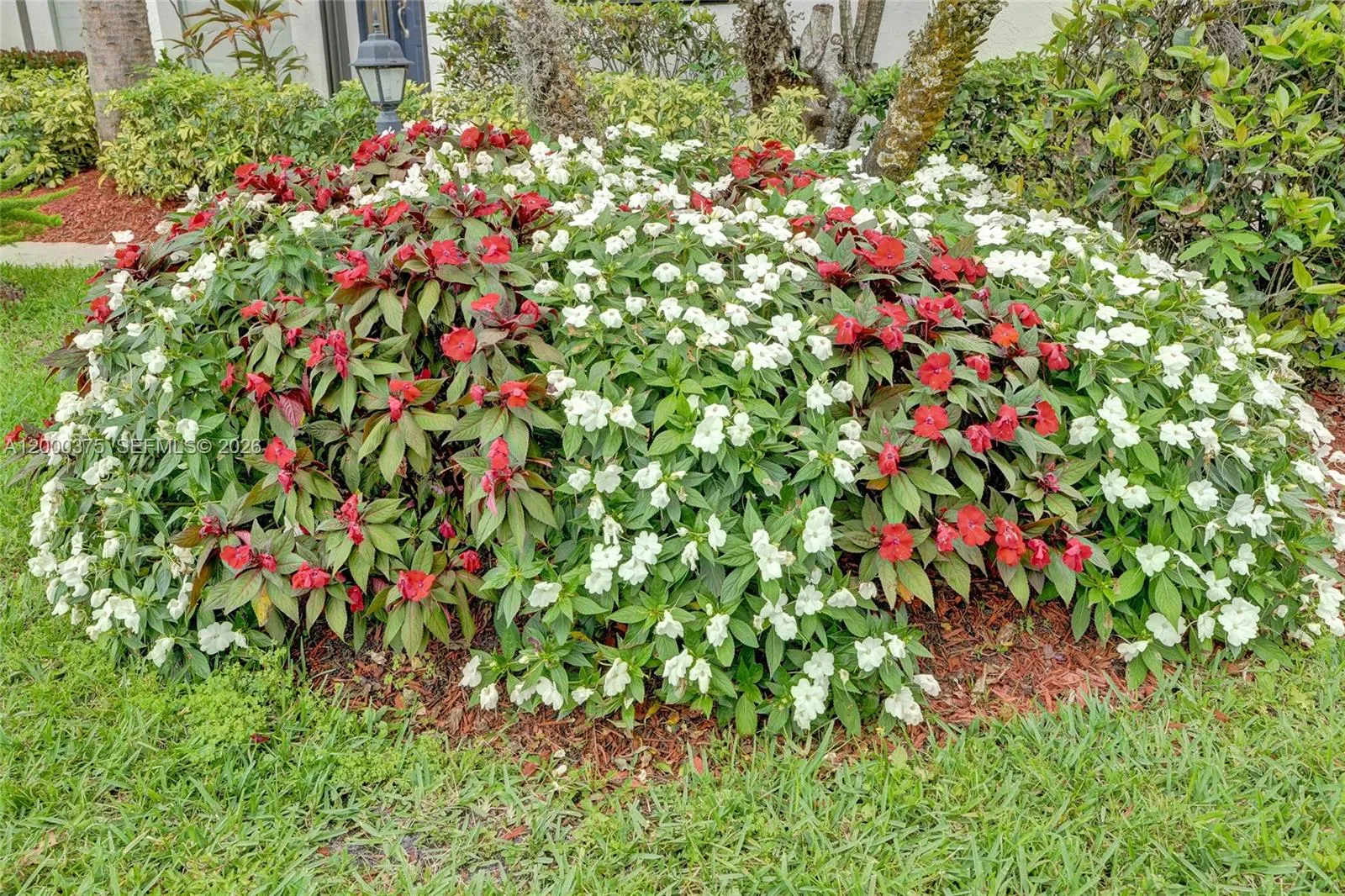 7525 Nw 61st Ter 804, Parkland, Florida 33067, Parkland, Florida 33067, 3 Bedrooms Bedrooms, ,2 BathroomsBathrooms,Residential,For Sale,7525 Nw 61st Ter 804, Parkland, Florida 33067,A12000375
