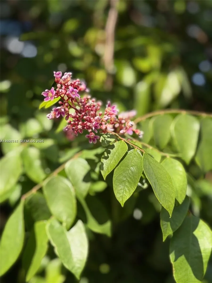 621 S 24th Ave, Hollywood, Florida 33020, Hollywood, Florida 33020, 4 Bedrooms Bedrooms, ,2 BathroomsBathrooms,Residential,For Sale,621 S 24th Ave, Hollywood, Florida 33020,A12007718