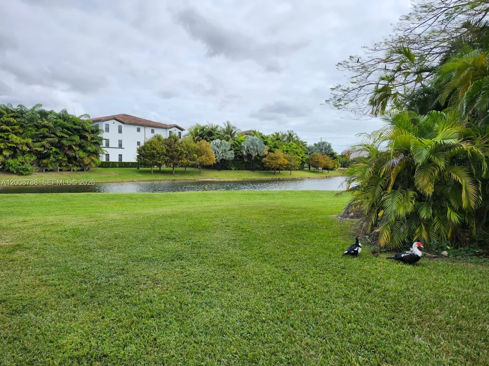 9195 Fontainebleau Blvd 6, Miami, Florida 33172, Miami, Florida 33172, 3 Bedrooms Bedrooms, ,2 BathroomsBathrooms,Residential,For Sale,9195 Fontainebleau Blvd 6, Miami, Florida 33172,A12008788