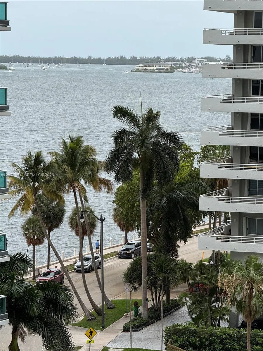 real view from the bay