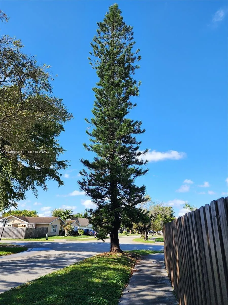 9825 Sw 132nd Ct, Miami, Florida 33186, Miami, Florida 33186, 3 Bedrooms Bedrooms, ,2 BathroomsBathrooms,Residential,For Sale,9825 Sw 132nd Ct, Miami, Florida 33186,A12009023