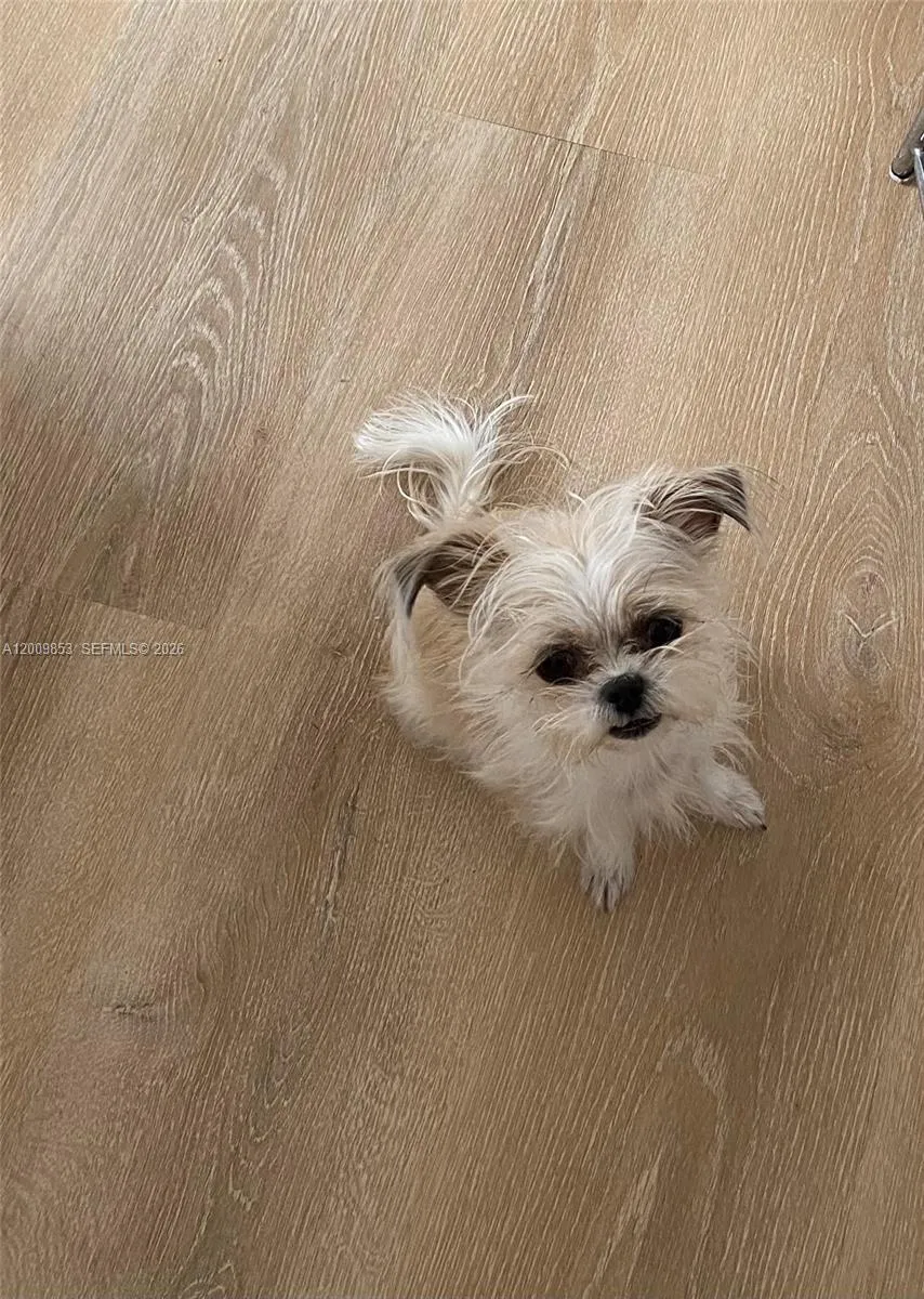 700 Biltmore Way 504, Coral Gables, Florida 33134, Coral Gables, Florida 33134, 1 Bedroom Bedrooms, ,1 BathroomBathrooms,Residential,For Sale,700 Biltmore Way 504, Coral Gables, Florida 33134,A12009853