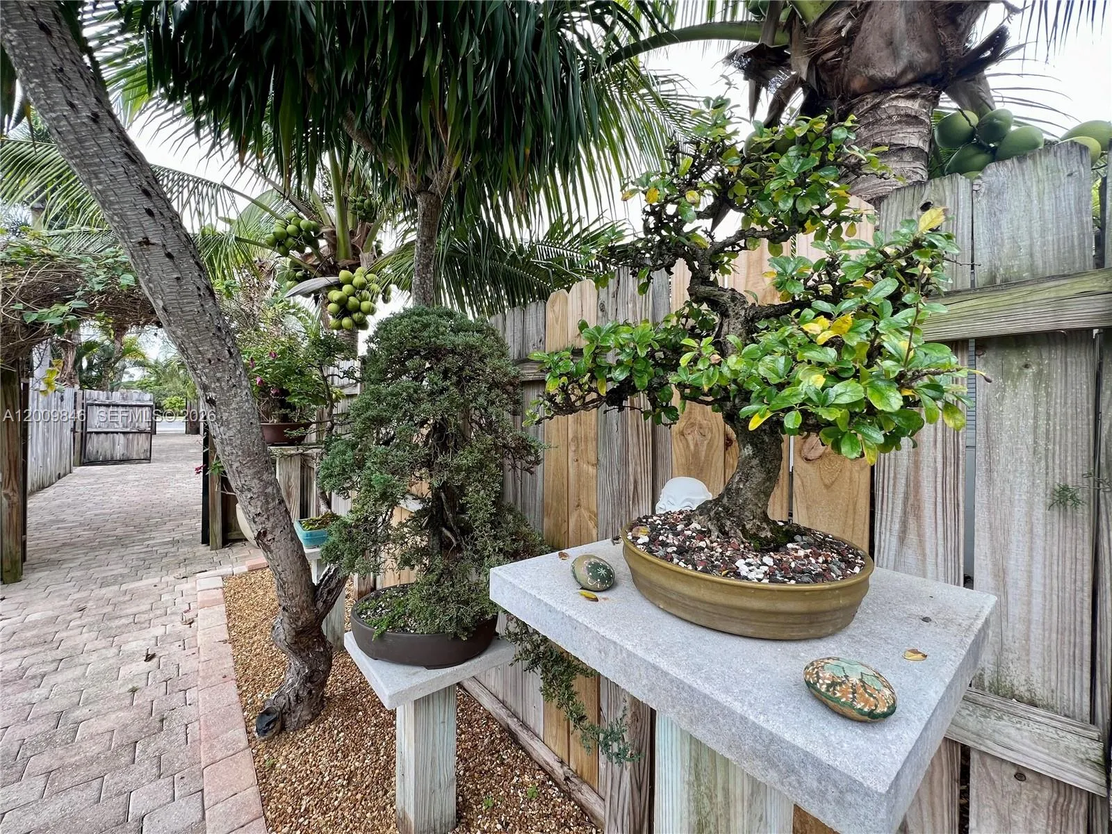 590 Nw 40th Ct 3, Oakland Park, Florida 33309, Oakland Park, Florida 33309, 1 Bedroom Bedrooms, ,1 BathroomBathrooms,Residential,For Sale,590 Nw 40th Ct 3, Oakland Park, Florida 33309,A12009846