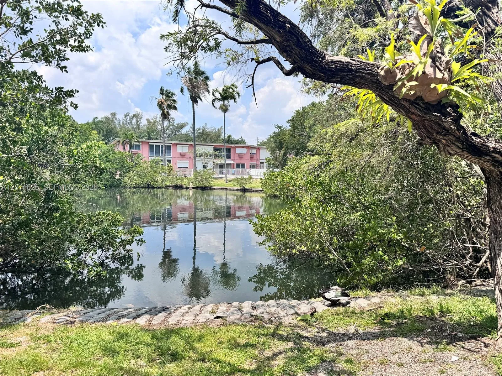 12590 Ne 16th Ave 209, North Miami, Florida 33161, North Miami, Florida 33161, 1 Bedroom Bedrooms, ,1 BathroomBathrooms,Residential,For Sale,12590 Ne 16th Ave 209, North Miami, Florida 33161,A12011625