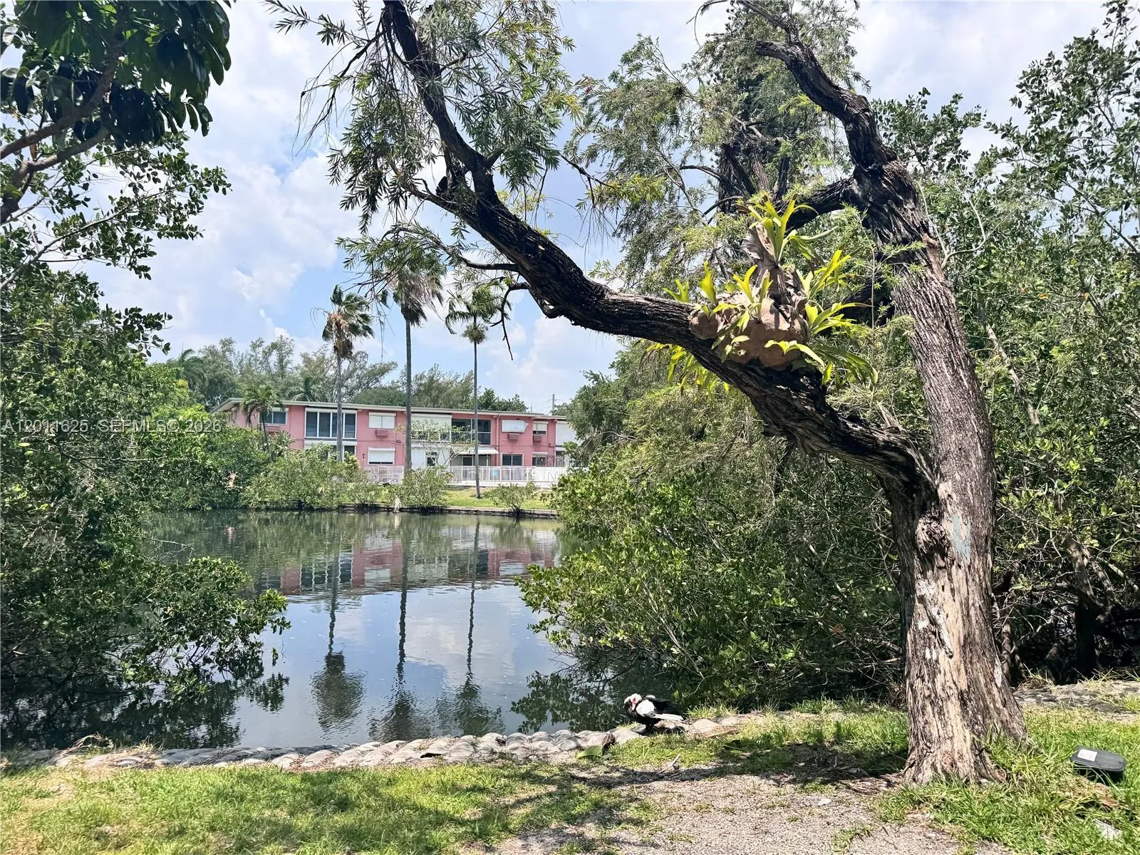 12590 Ne 16th Ave 209, North Miami, Florida 33161, North Miami, Florida 33161, 1 Bedroom Bedrooms, ,1 BathroomBathrooms,Residential,For Sale,12590 Ne 16th Ave 209, North Miami, Florida 33161,A12011625