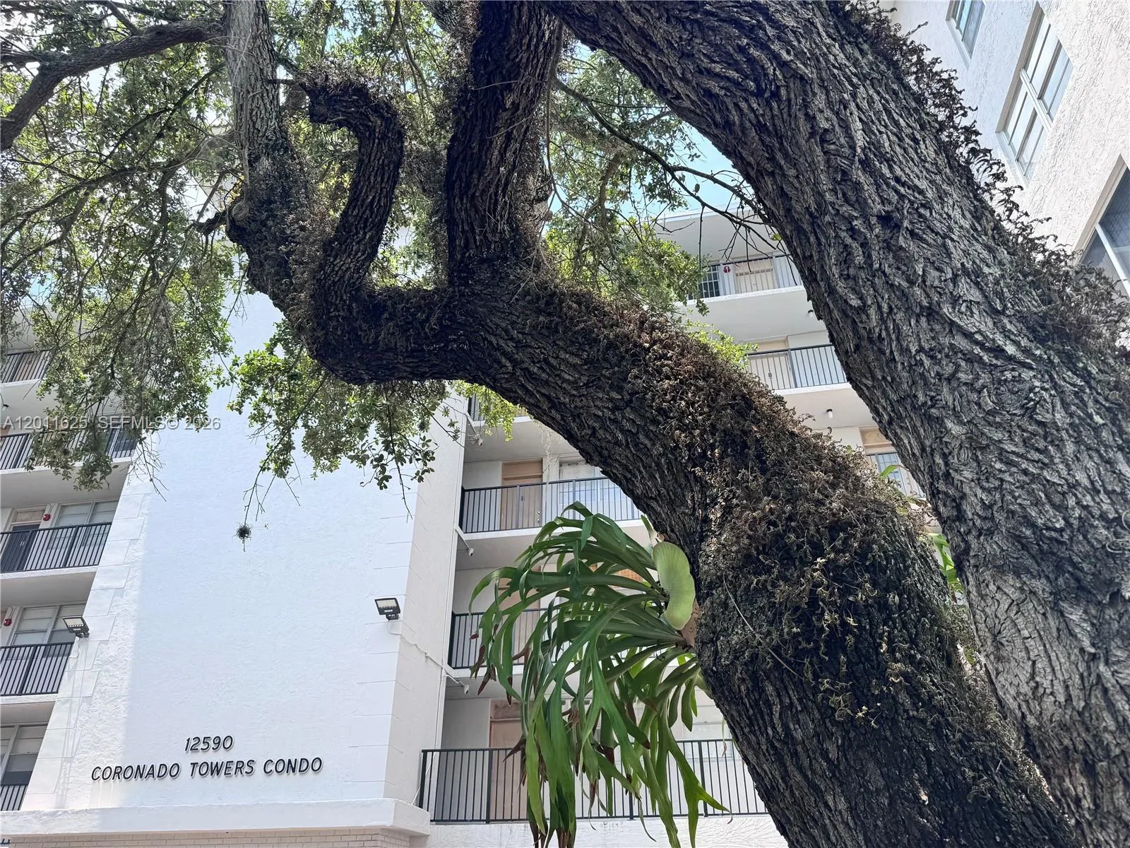 12590 Ne 16th Ave 209, North Miami, Florida 33161, North Miami, Florida 33161, 1 Bedroom Bedrooms, ,1 BathroomBathrooms,Residential,For Sale,12590 Ne 16th Ave 209, North Miami, Florida 33161,A12011625