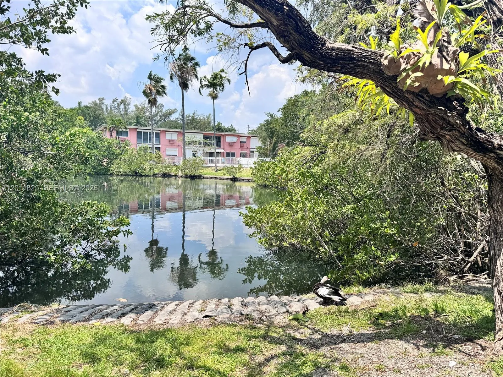 12590 Ne 16th Ave 209, North Miami, Florida 33161, North Miami, Florida 33161, 1 Bedroom Bedrooms, ,1 BathroomBathrooms,Residential,For Sale,12590 Ne 16th Ave 209, North Miami, Florida 33161,A12011625