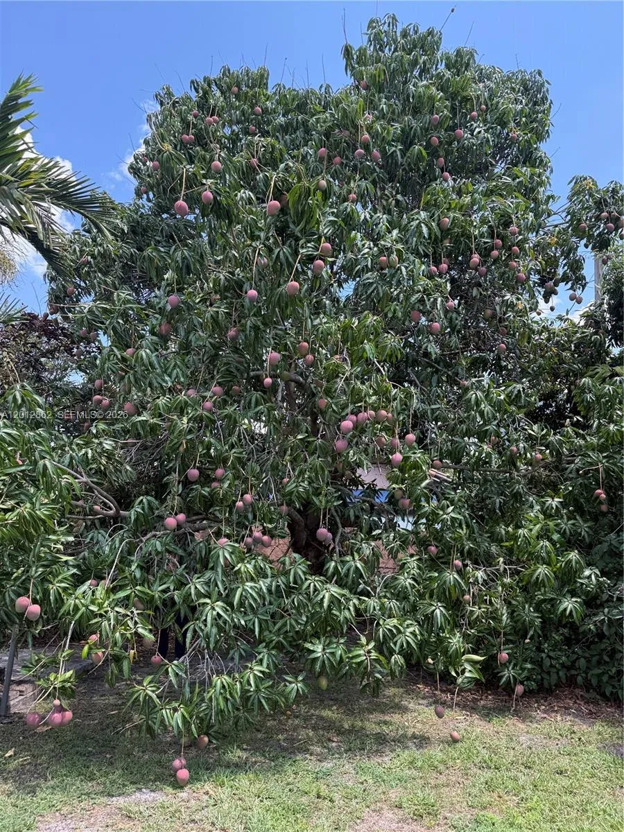 399 W 12th St, Hialeah, Florida 33010, Hialeah, Florida 33010, 3 Bedrooms Bedrooms, ,2 BathroomsBathrooms,Residential,For Sale,399 W 12th St, Hialeah, Florida 33010,A12012862