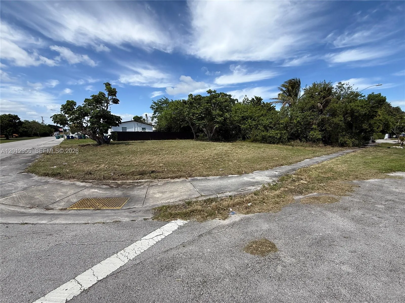 22365 Sw 119th Ave, Miami, Florida 33170, Miami, Florida 33170, ,Land,For Sale,22365 Sw 119th Ave, Miami, Florida 33170,A12012955