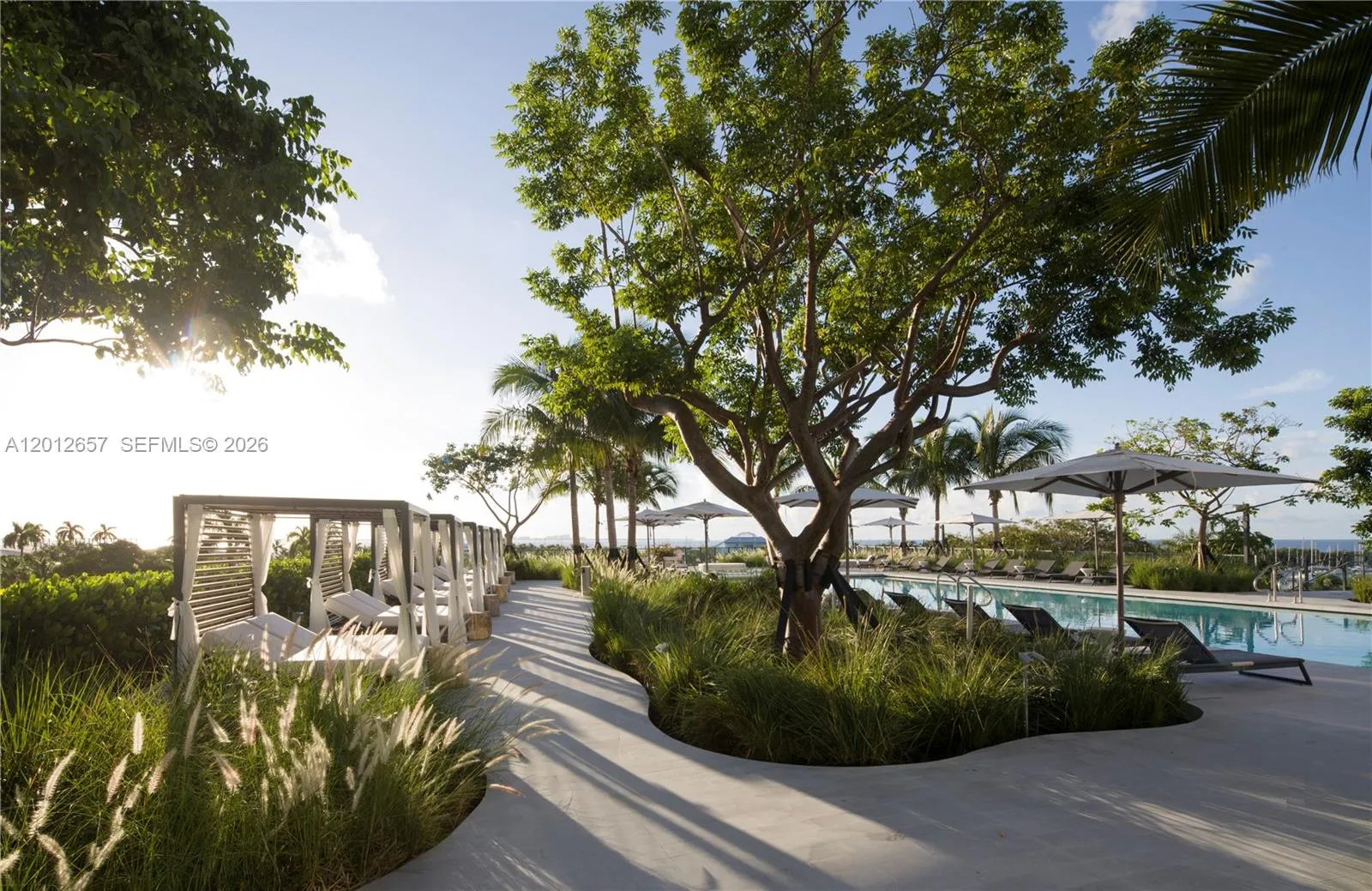 Pool area.