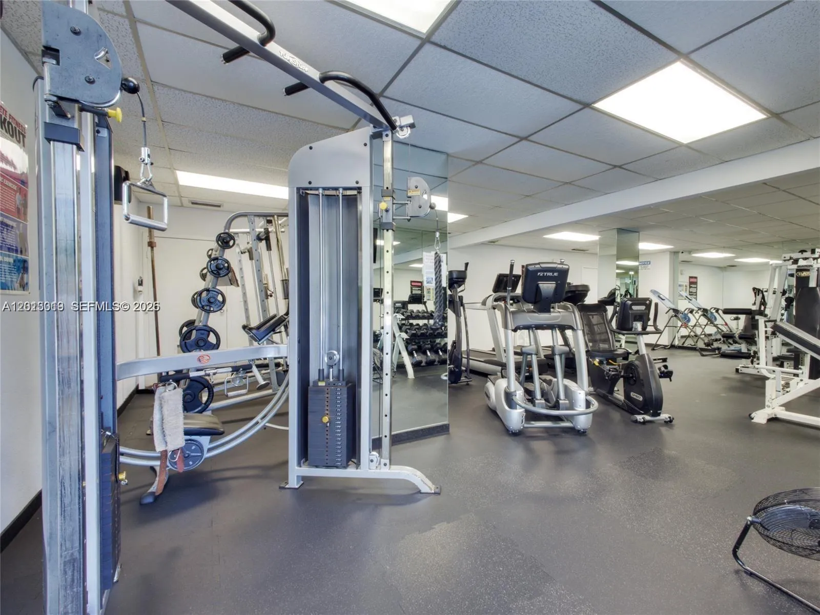 2715 N Ocean Blvd 2e, Fort Lauderdale, Florida 333, Fort Lauderdale, Florida 33308, 2 Bedrooms Bedrooms, ,2 BathroomsBathrooms,Residential,For Sale,2715 N Ocean Blvd 2e, Fort Lauderdale, Florida 333,A12013019