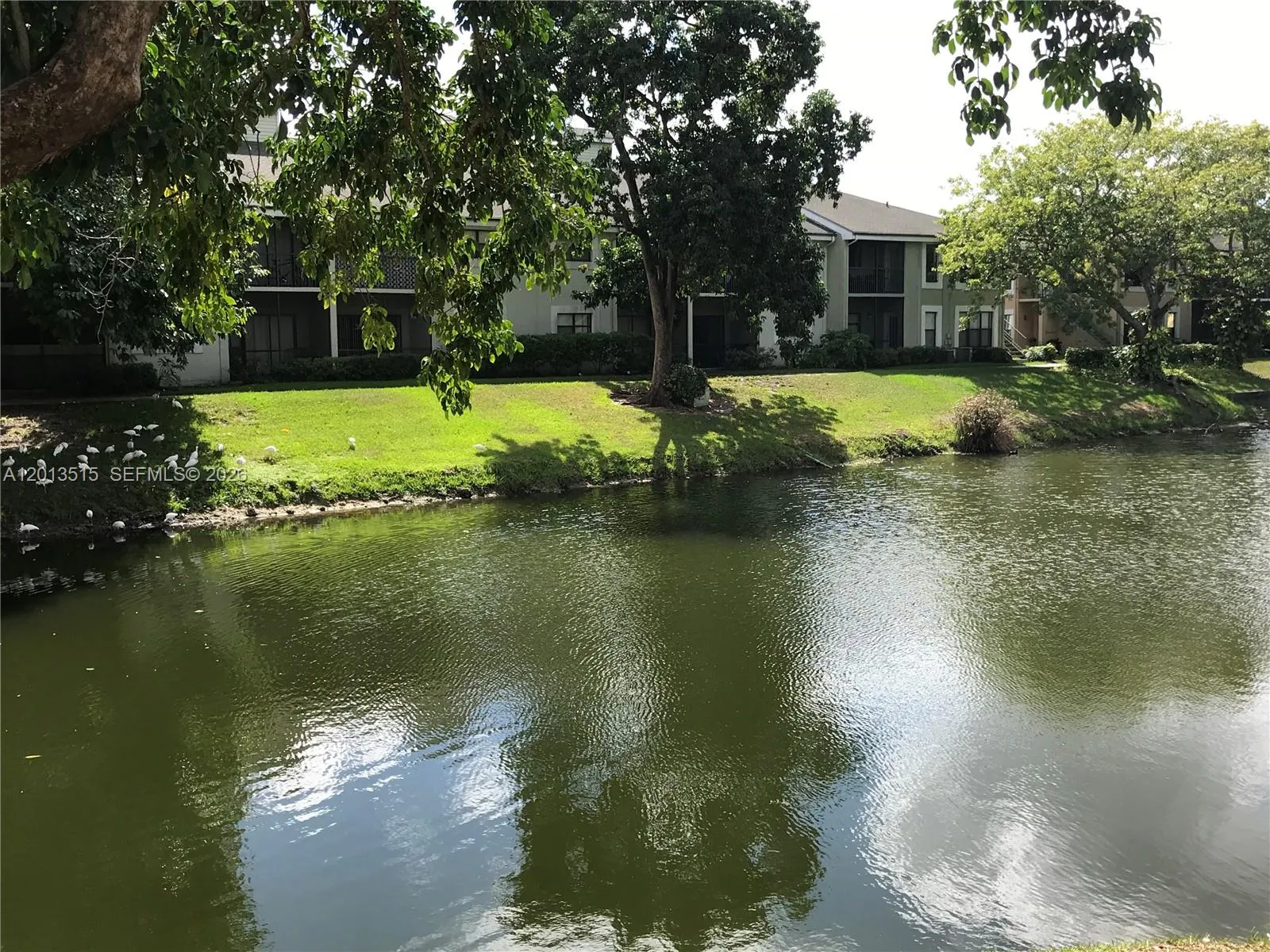 4044 Nw 87th Ave 4044, Sunrise, Florida 33351, Sunrise, Florida 33351, 1 Bedroom Bedrooms, ,1 BathroomBathrooms,Residential Lease,For Rent,4044 Nw 87th Ave 4044, Sunrise, Florida 33351,A12013515 4044 Nw 87th Ave 4044, Sunrise, Florida 33351, Sunrise, Florida 33351, 1 Bedroom Bedrooms, ,1 BathroomBathrooms,Residential Lease,For Rent,4044 Nw 87th Ave 4044, Sunrise, Florida 33351,A12013515