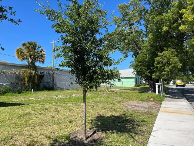 Yard