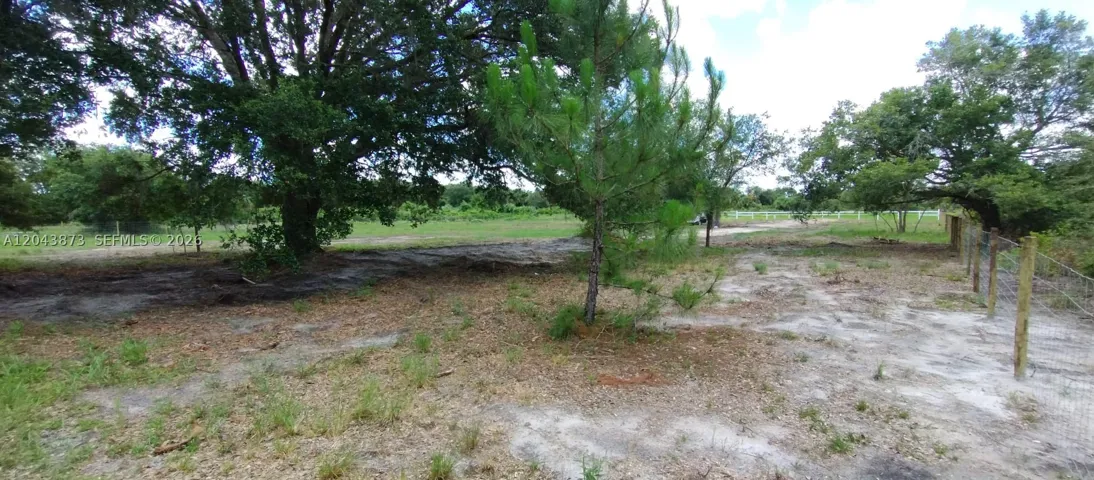 Yard