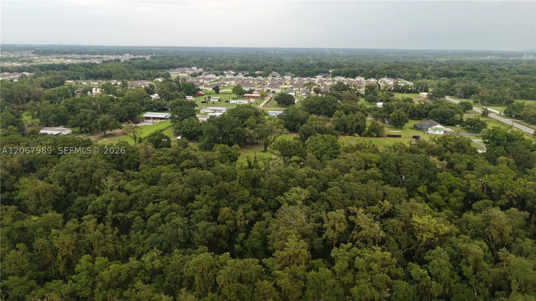6150 Busy Bee Ln, Lakeland, Florida 33811 — photo 14