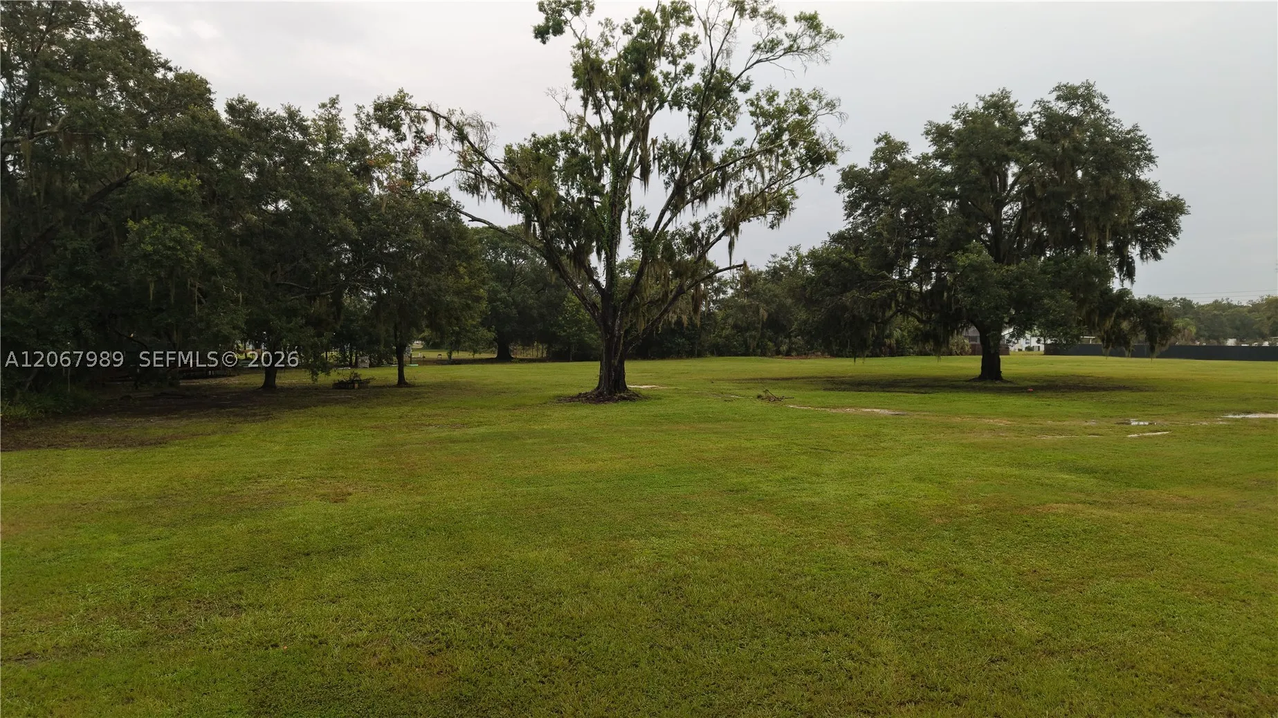 6150 Busy Bee Ln, Lakeland, Florida 33811 — photo 16