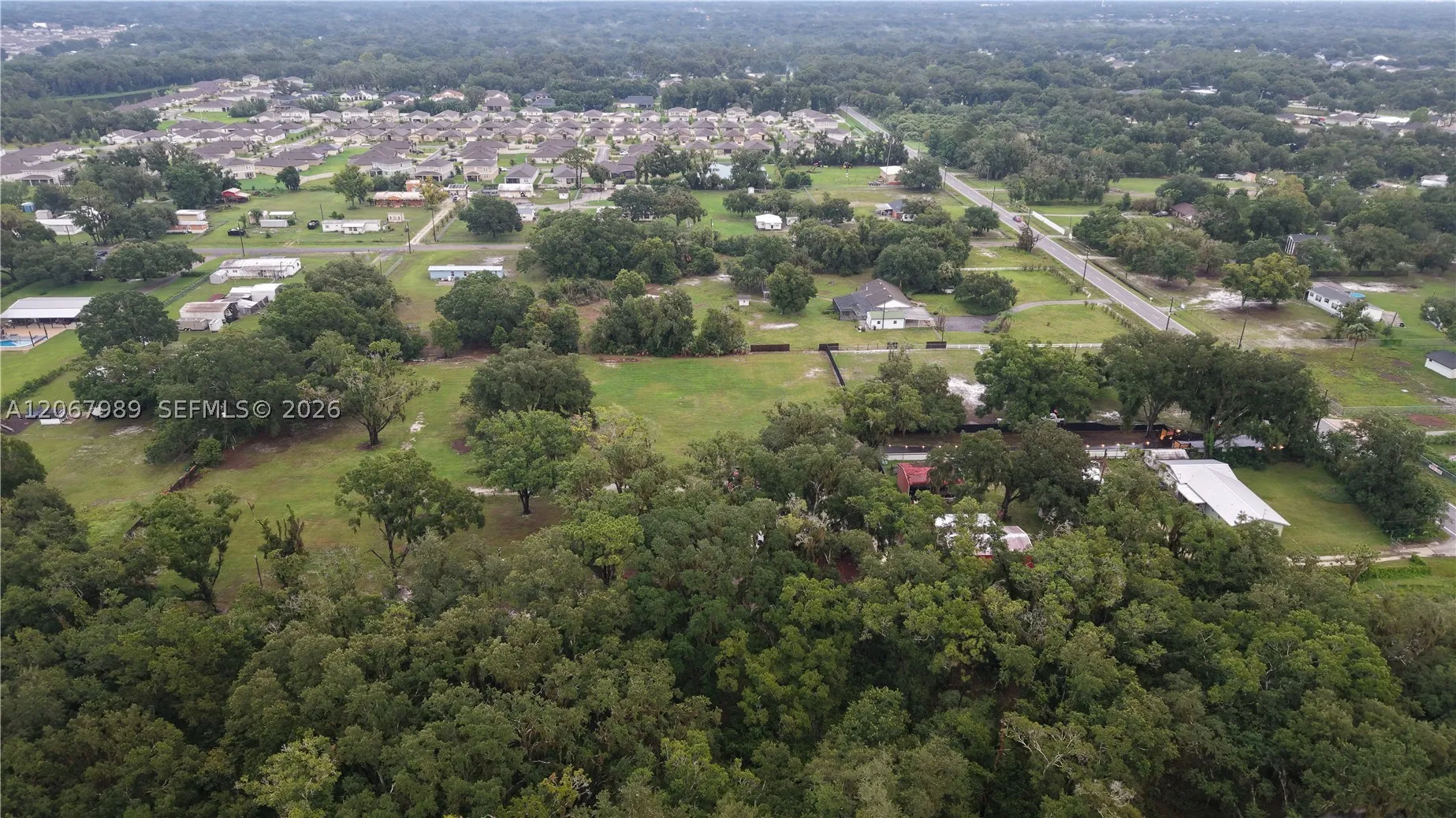 6150 Busy Bee Ln, Lakeland, Florida 33811 — photo 11
