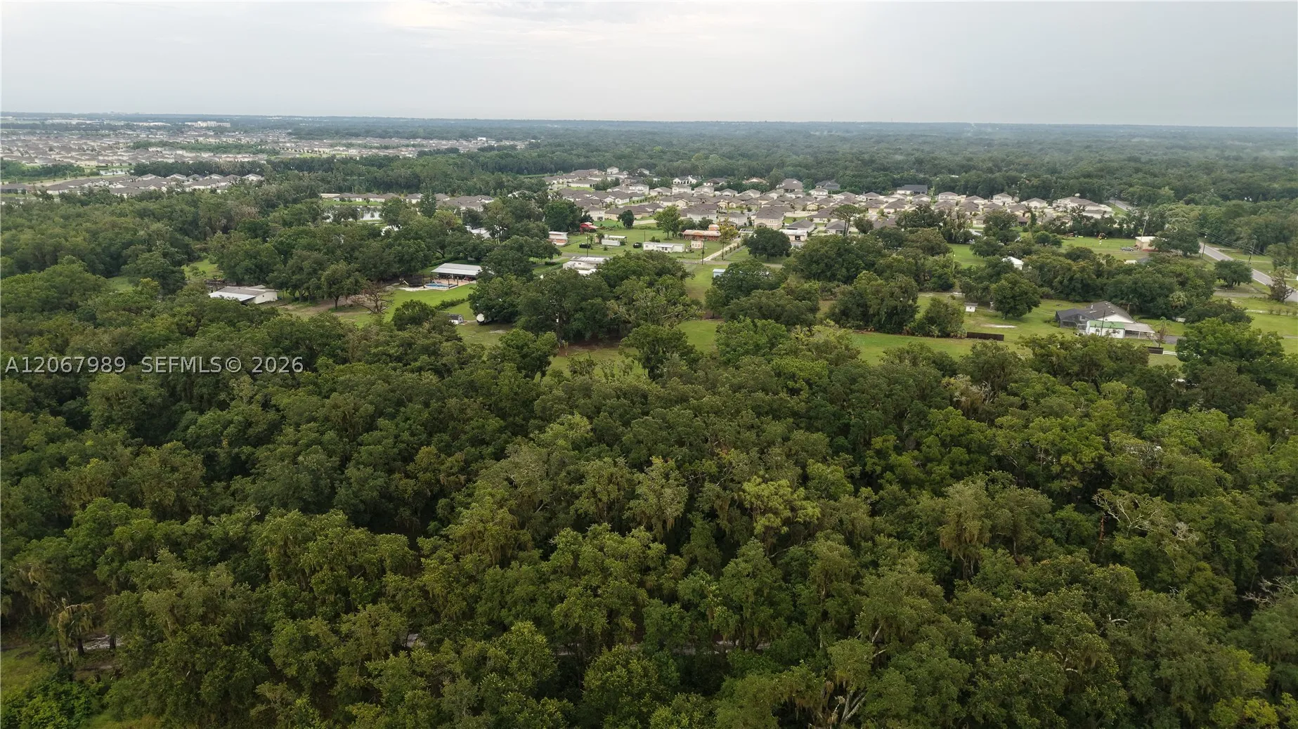 6150 Busy Bee Ln, Lakeland, Florida 33811 — photo 29