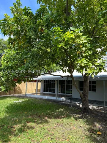 Back of Structure
