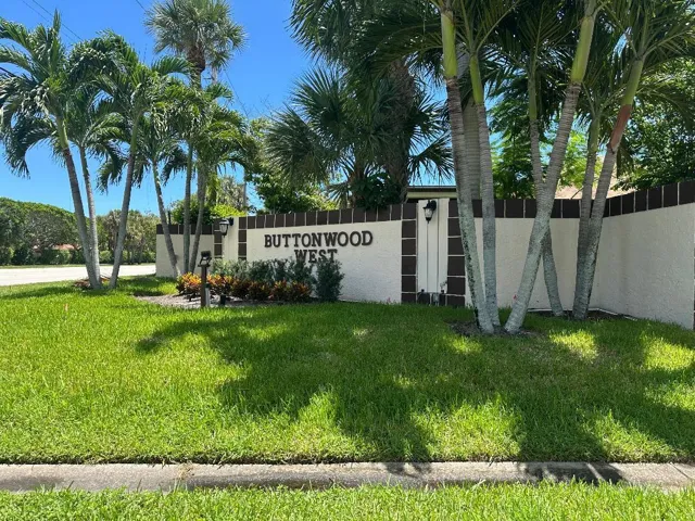 Buttonwood
