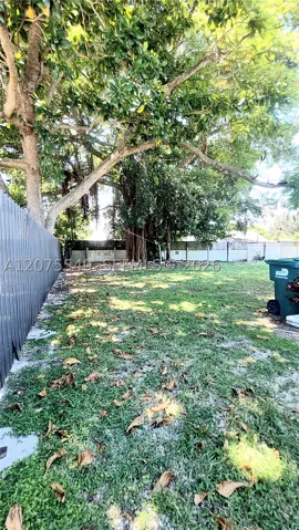 Yard