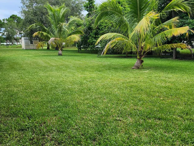 Yard