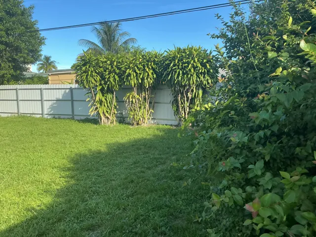 Yard