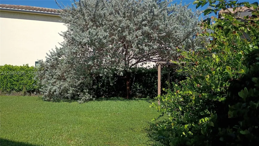 Yard