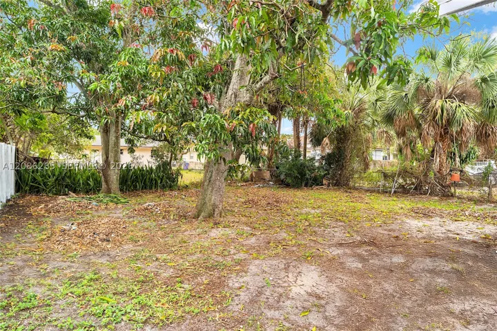 Yard