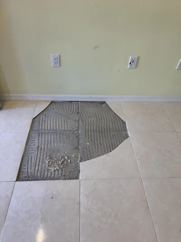 1881 damaged floor