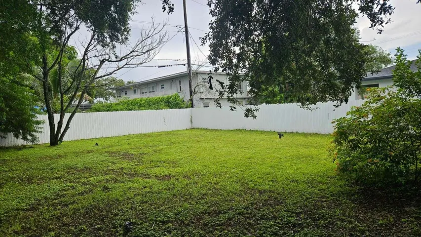 Backyard & patio