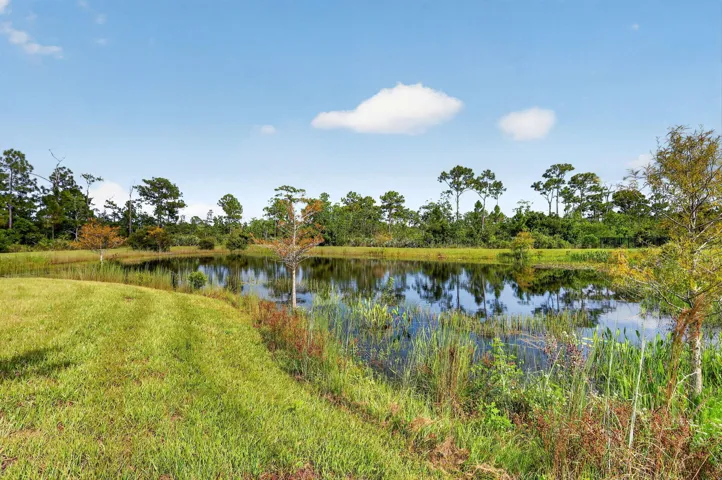 Lovely Pond