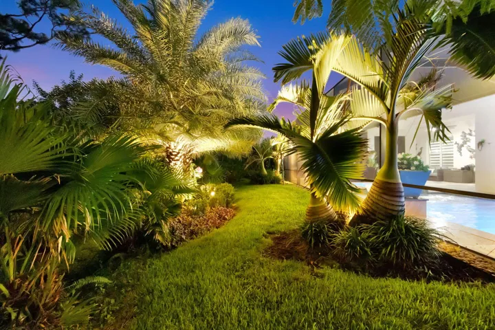 Lush Landscaping