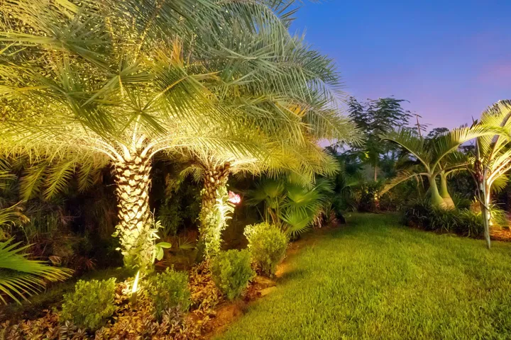Rear Custom landscaping