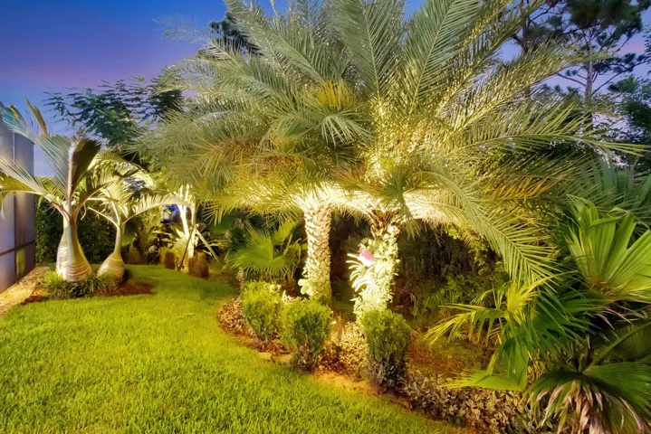 Lush Landscaping