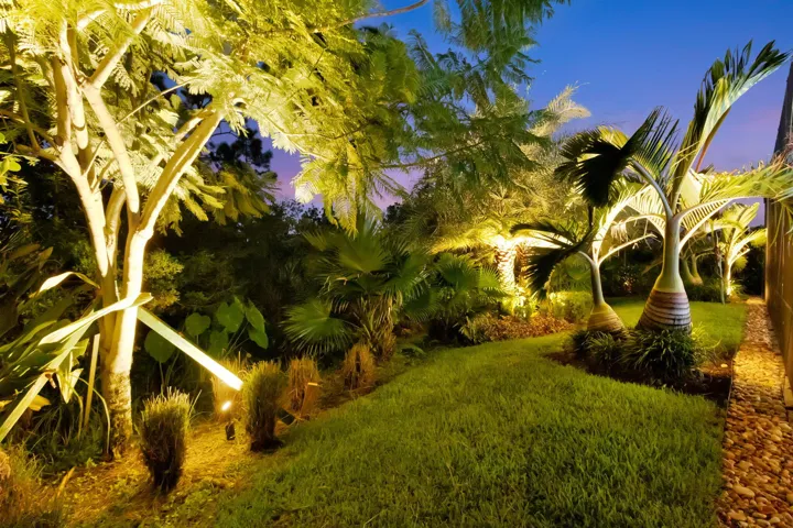 Outdoor Rear Oasis